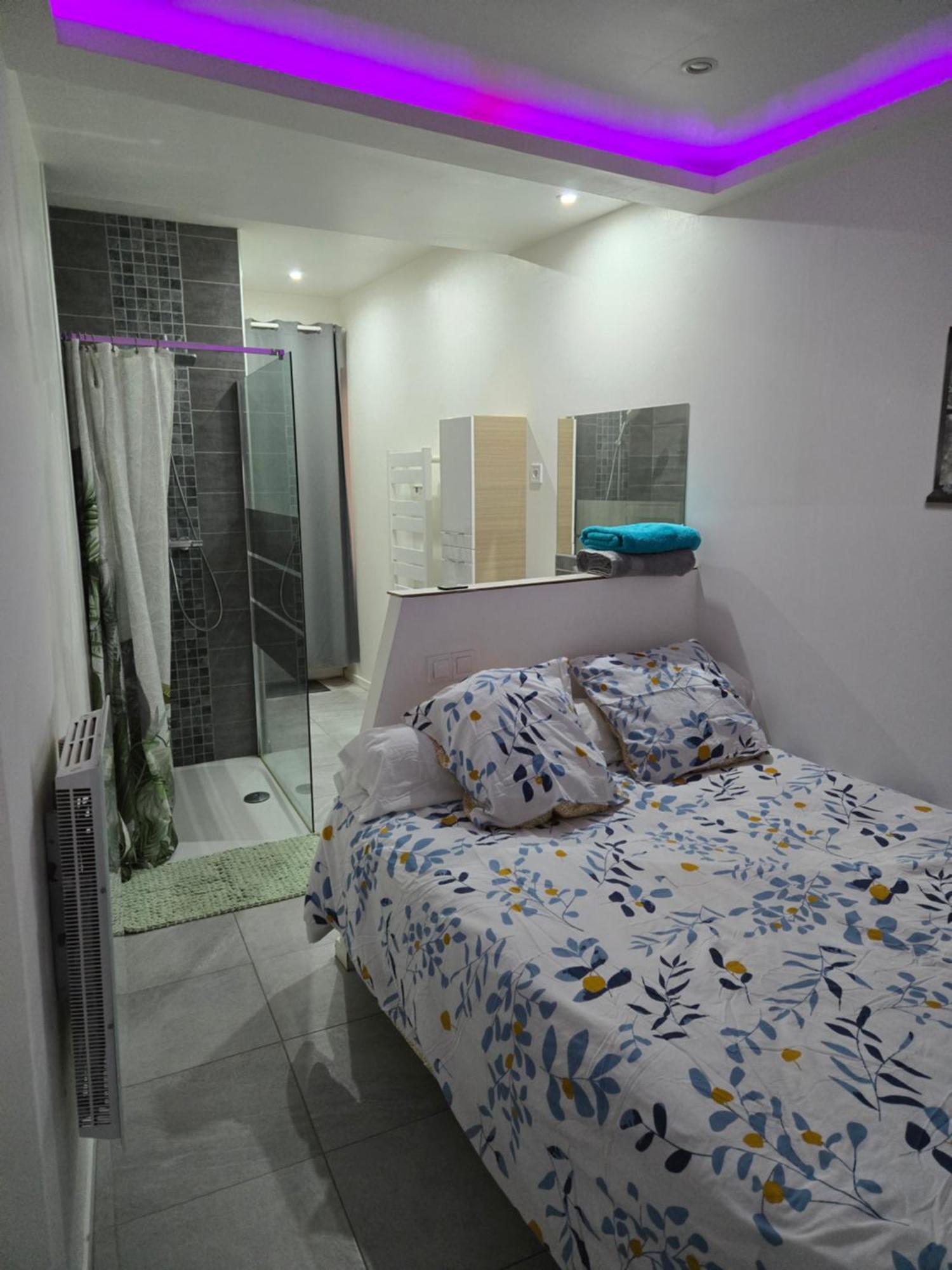Appart 40M2 Independant, Confortable Avec Terasse لونيه المظهر الخارجي الصورة